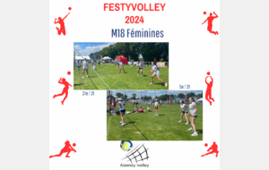 66698a18cdce0_Festyvolley2024063.png